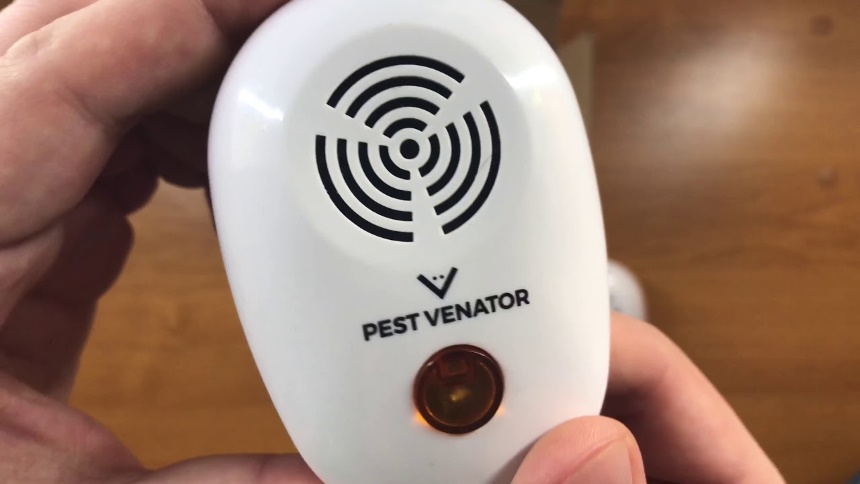 How to Get Rid of Pack Rats: Best Solutions