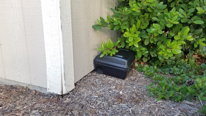 How to Get Rid of Pack Rats: Best Solutions