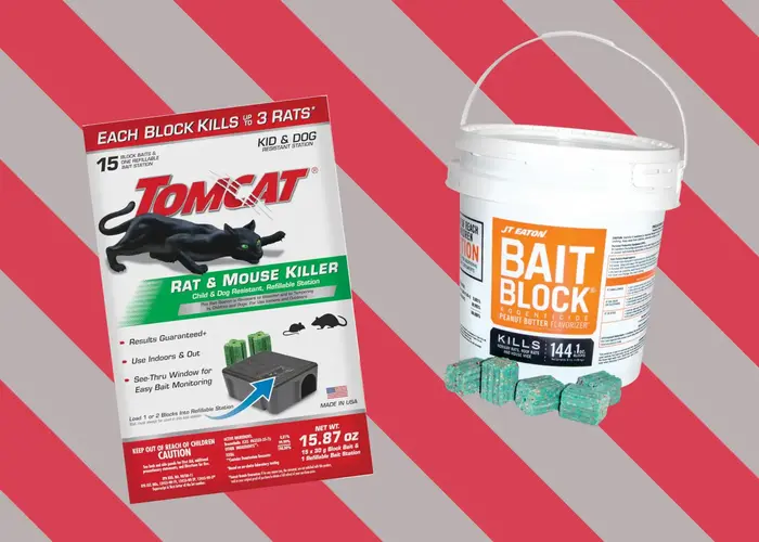 7 Best Mouse Poisons: The Most Effective Way to Get Rid of Them Once and for All