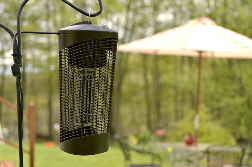 How to Get Rid of Ground Bees: Your Complete Guide