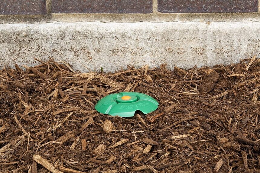 How to Get Rid of Termites without Tenting: All Possible Methods