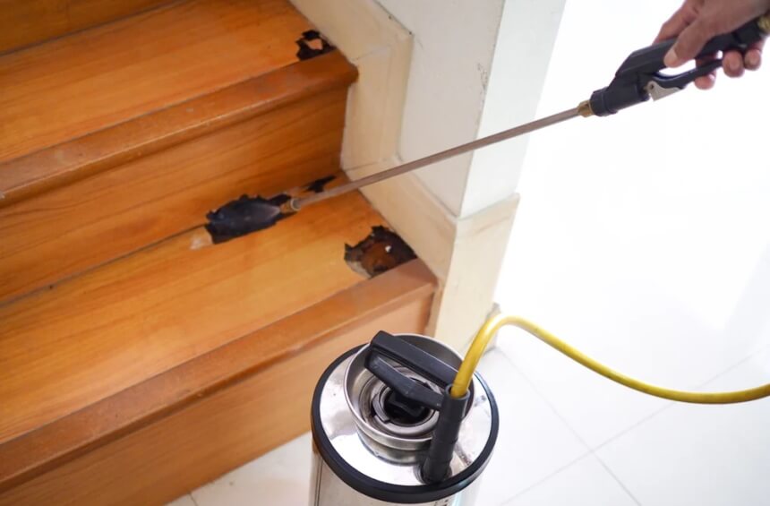 How to Get Rid of Termites without Tenting: All Possible Methods