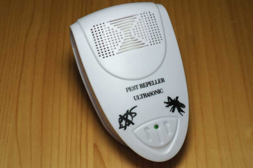 How to Keep Spiders out of Your Room and Get Rid of Them