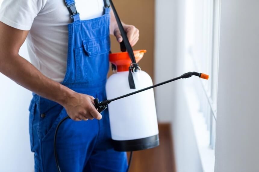 How to Keep Spiders out of Your Room and Get Rid of Them