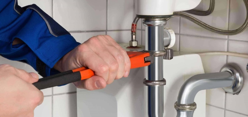 How to Keep Spiders out of Your Room and Get Rid of Them