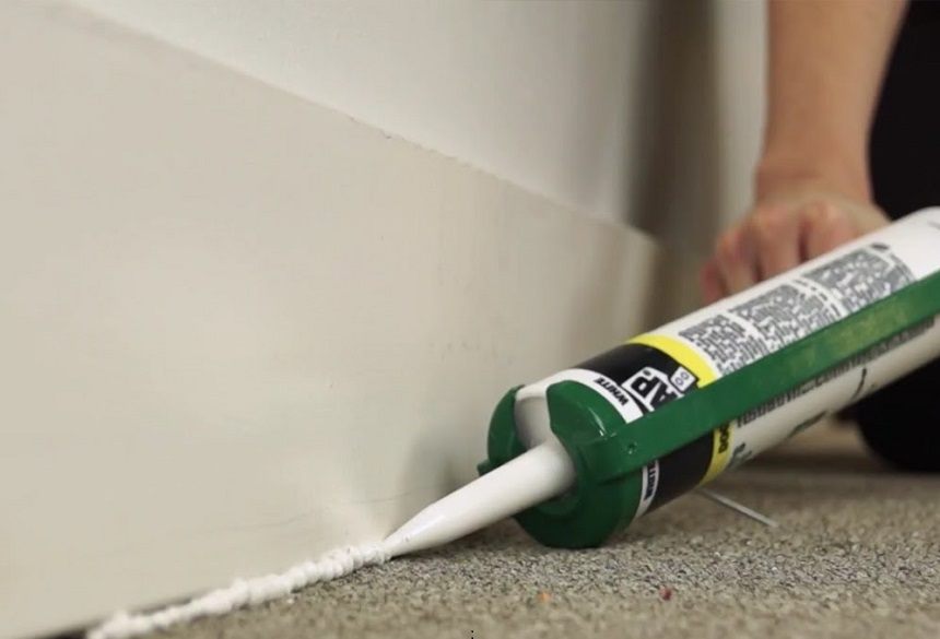 How to Get Rid of Spiders in Basement: 7 Proven Ways