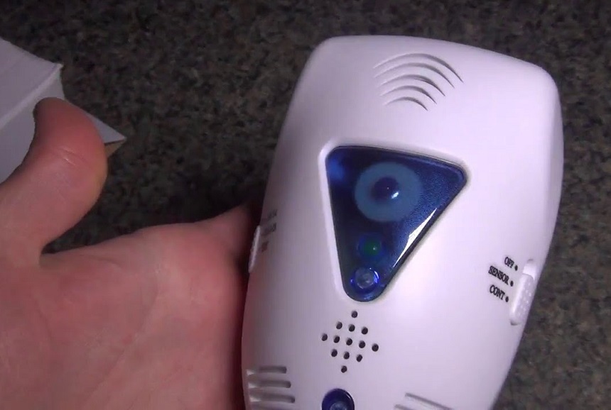 How to Get Rid of Spiders in Basement: 7 Proven Ways