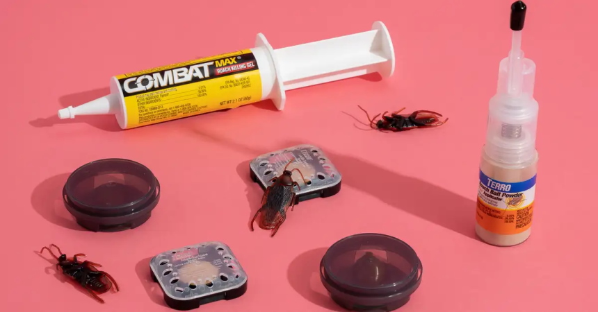 Waterbug vs. Roach: What’s the Difference?