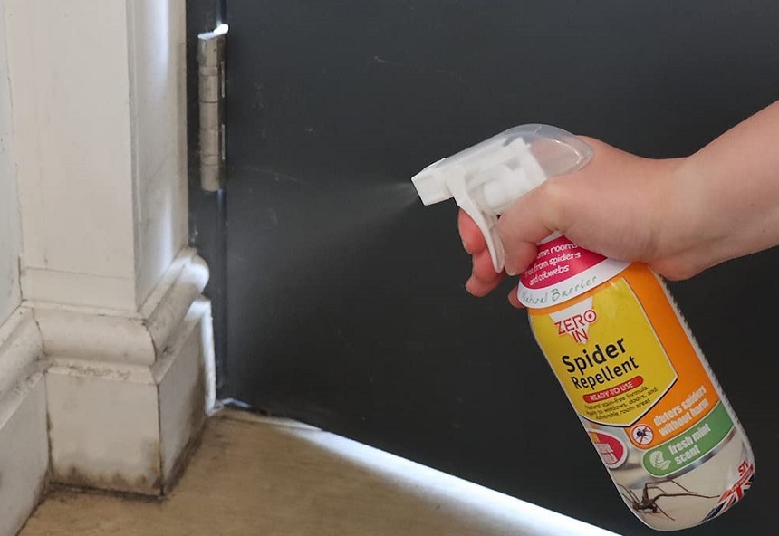 How to Get Rid of Spiders in Basement: 7 Proven Ways