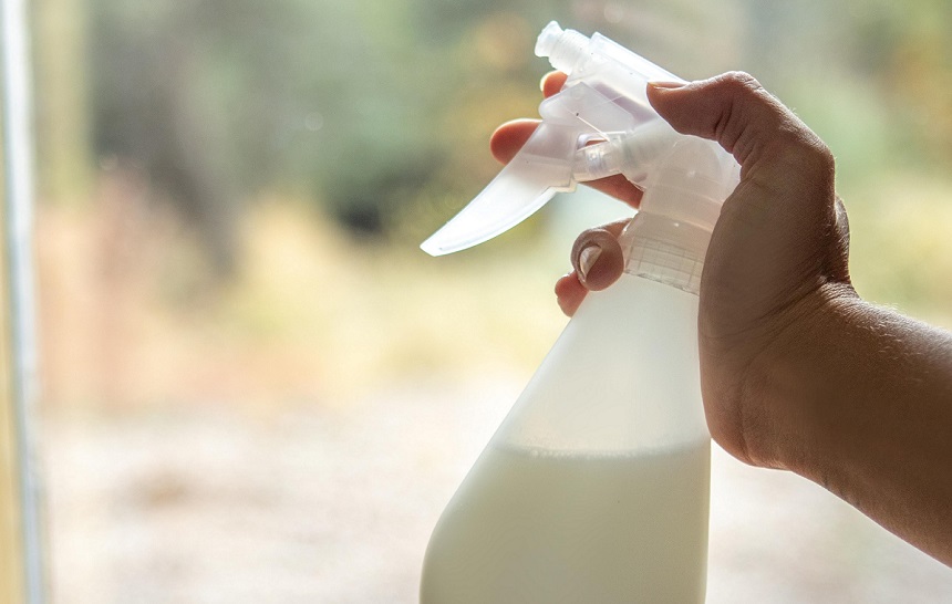 How to Keep Bees Away from Your Property and Yourself