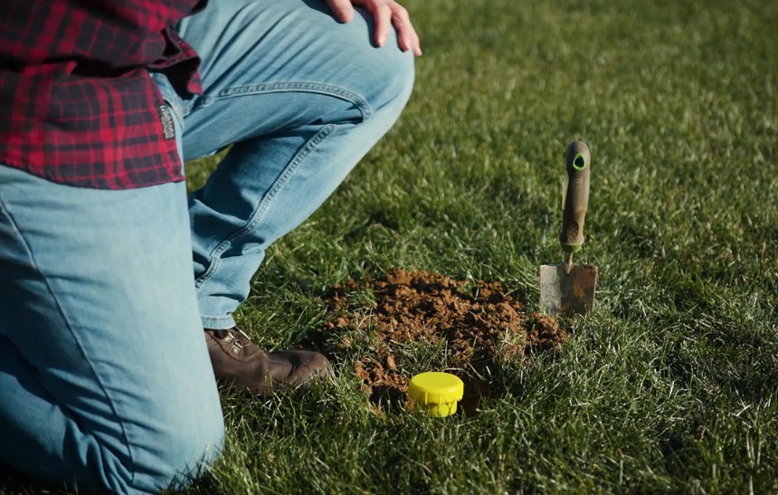 5 Best Gopher Repellents - Don't Let Pesky Critters Ruin Your Garden!