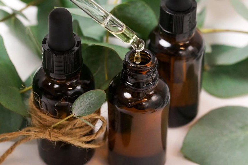 Homemade Spider Killer - Cheap, Easy, and Effective