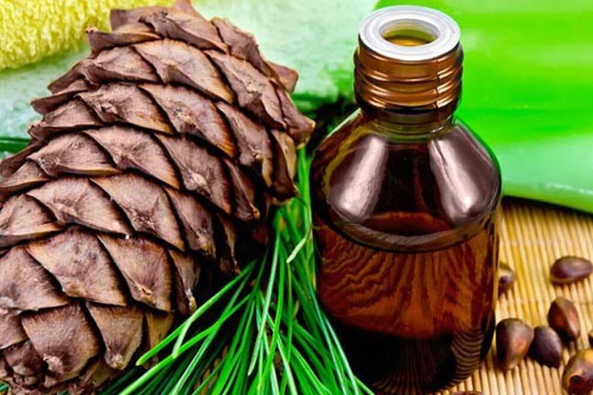 Homemade Spider Killer - Cheap, Easy, and Effective