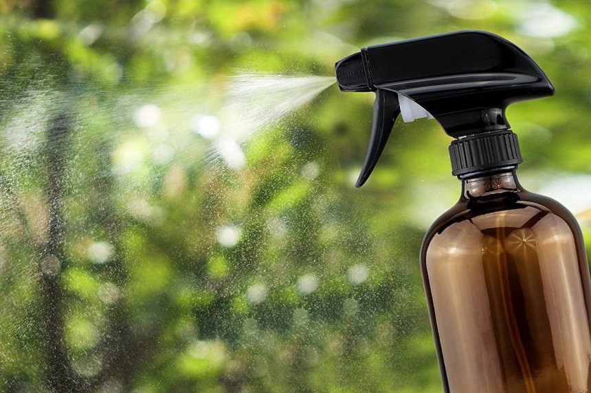 Homemade Spider Killer - Cheap, Easy, and Effective