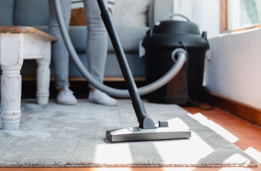 How to Get Rid of Centipedes and Prevent Their Return