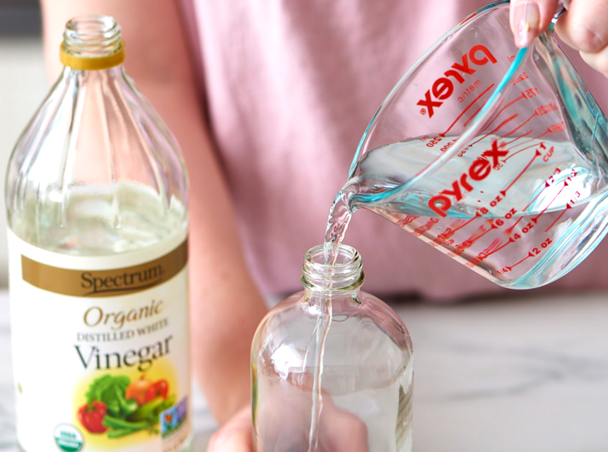 How To Get Rid of Drugstore Beetles Safe and Fast