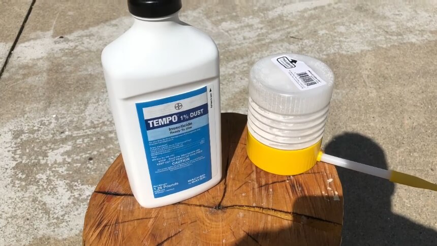 How To Get Rid of Millipedes: Once and for Good