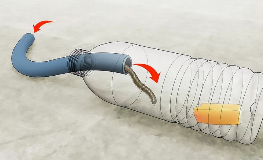 How To Get Rid of Millipedes: Once and for Good