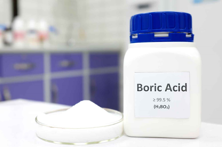 How To Get Rid of Millipedes: Once and for Good