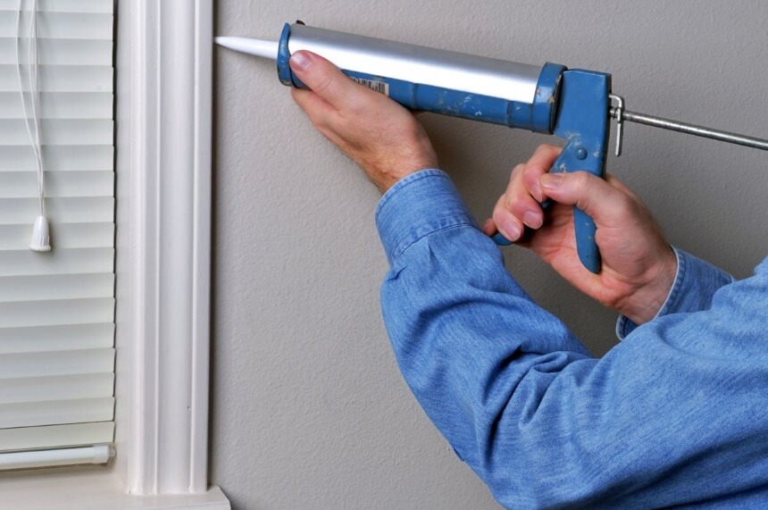 How to Get Rid of American Cockroaches Once and for All