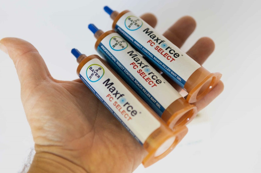 How to Get Rid of American Cockroaches Once and for All