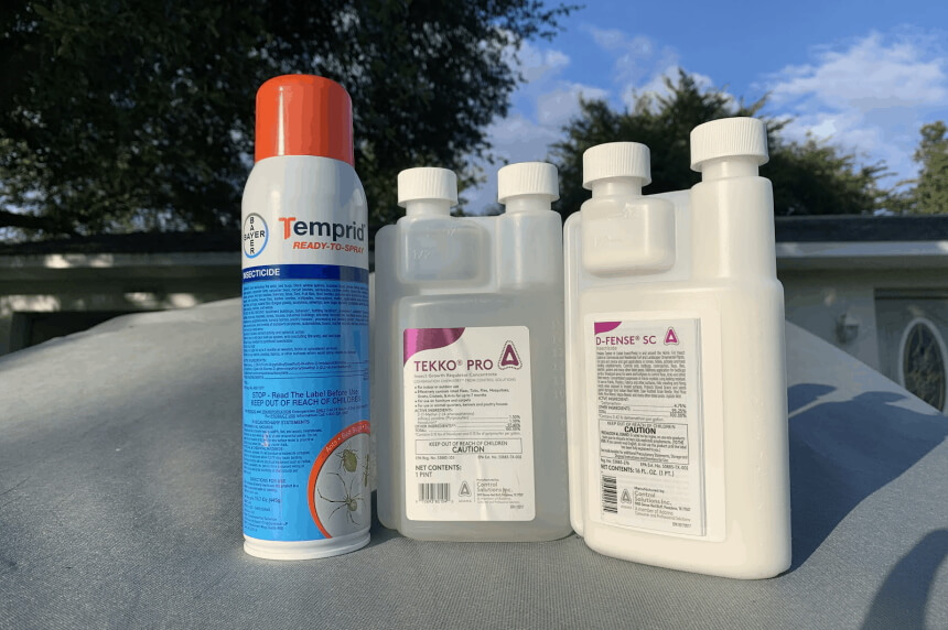 How to Get Rid of Bed Bugs - Eliminate Them for Good