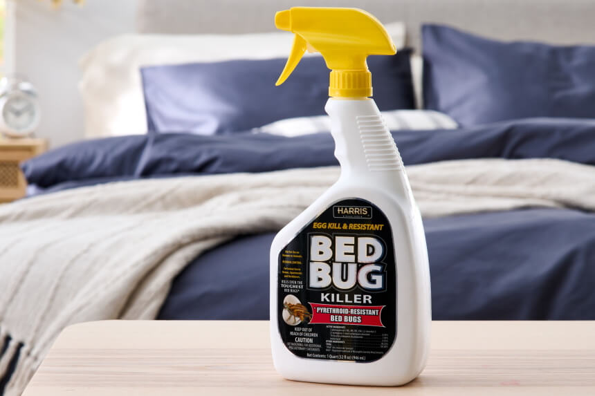 How to Get Rid of Bed Bugs - Eliminate Them for Good