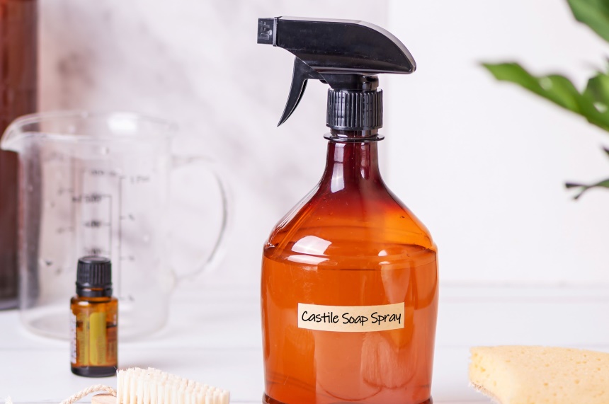 How to Get Rid of Boxelder Bugs and Keep Them from Coming Back