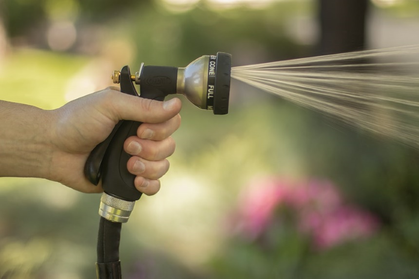 How to Get Rid of Boxelder Bugs and Keep Them from Coming Back