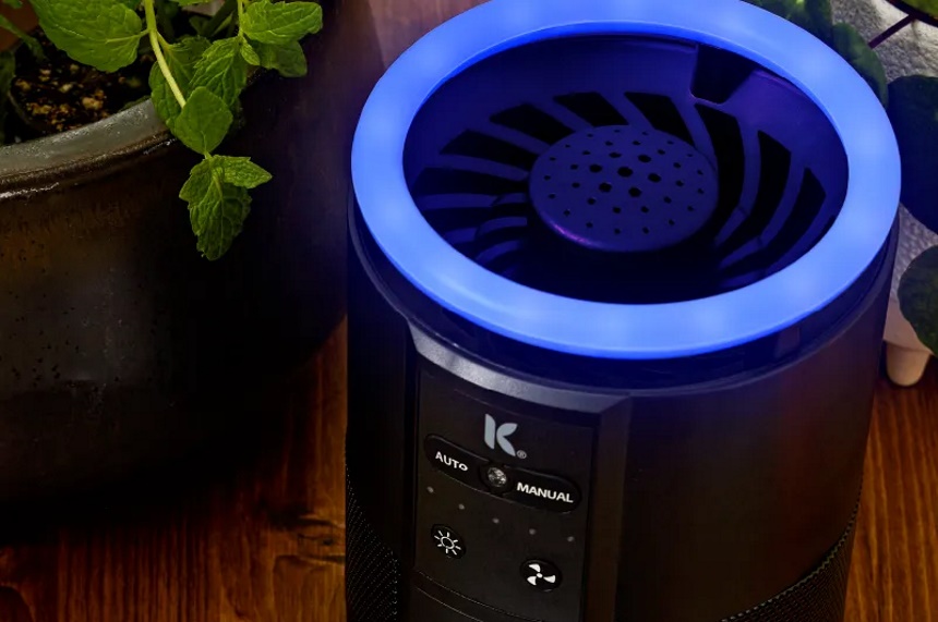 How to Get Rid of Boxelder Bugs and Keep Them from Coming Back