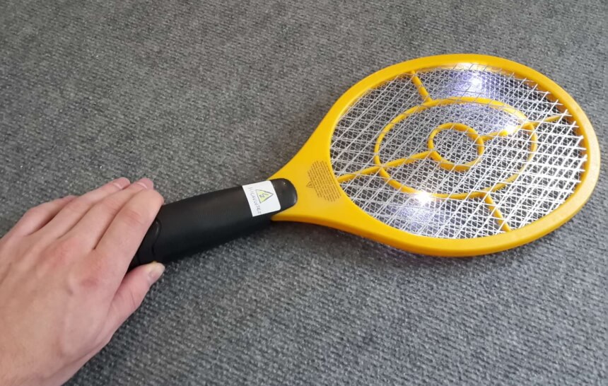 How to Get Rid of Cluster Flies in House Once and for All!