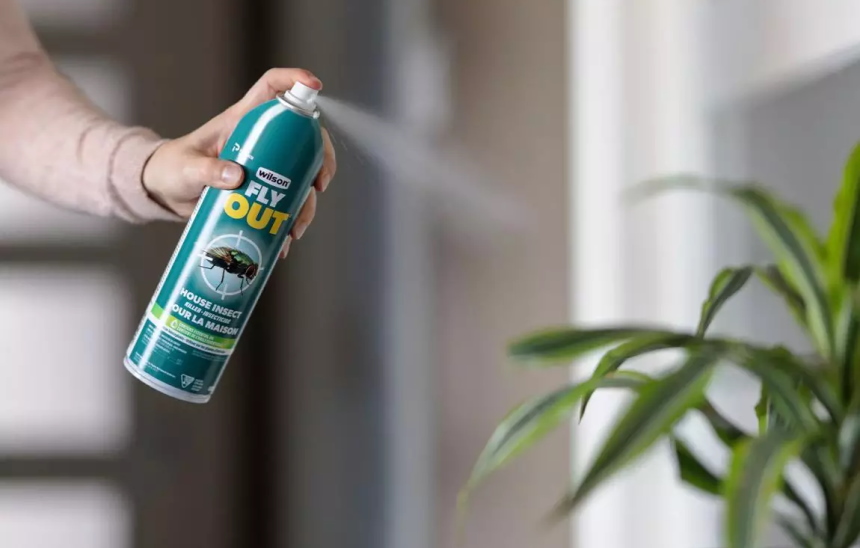 How to Get Rid of Cluster Flies in House Once and for All!