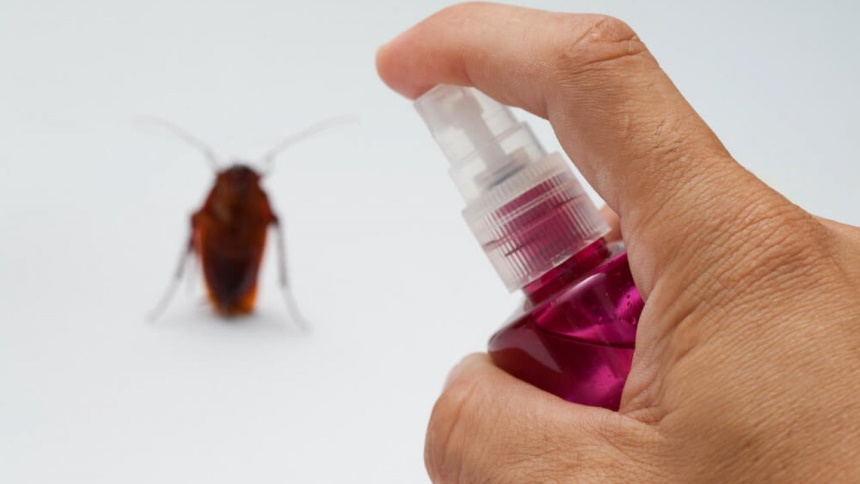How to Get Rid of Cockroaches: Eliminate the Problem At Once!