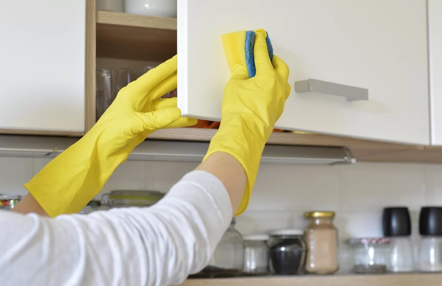 How to Get Rid of Daddy Long Legs: Methods That Work