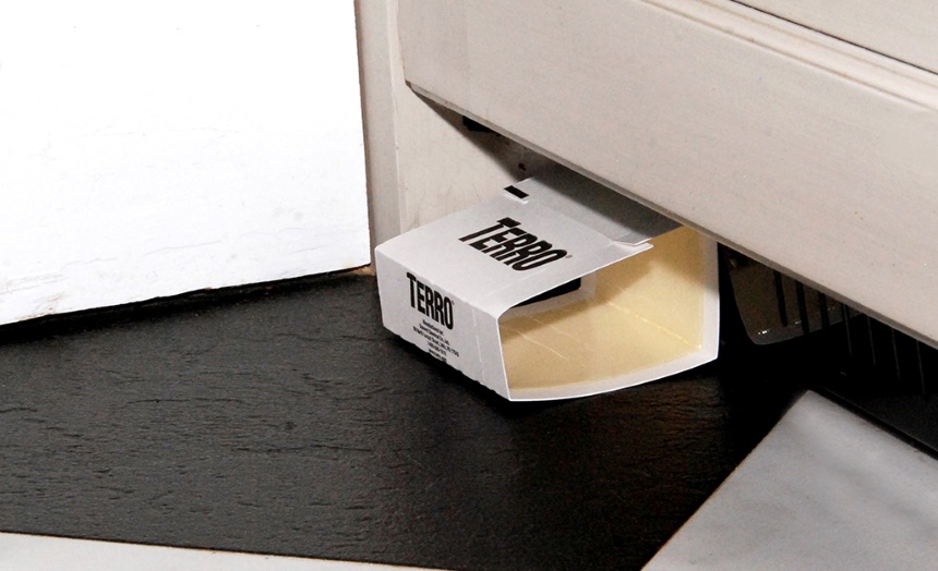 How to Get Rid of Daddy Long Legs: Methods That Work