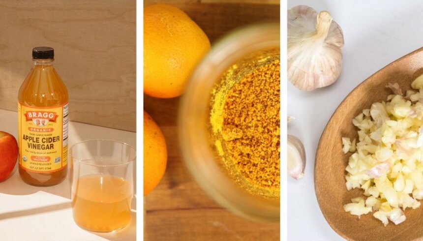 How to Get Rid of Daddy Long Legs: Methods That Work