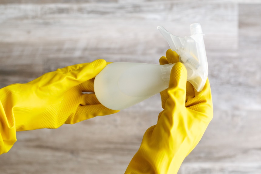 How to Get Rid of Daddy Long Legs: Methods That Work