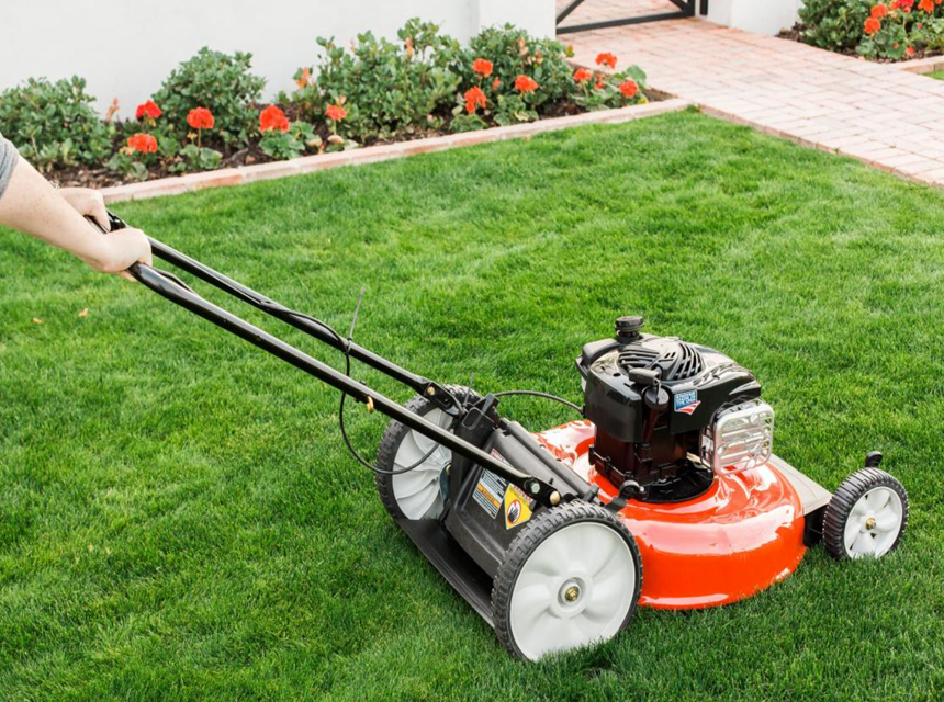 How to Get Rid of Deer Flies: A Complete Guide