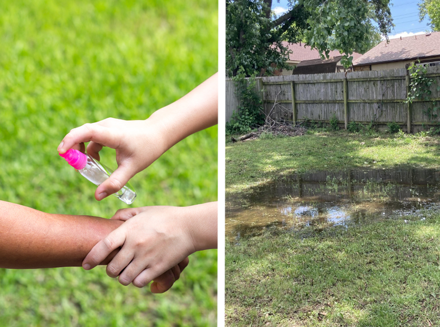 How to Get Rid of Deer Flies: A Complete Guide