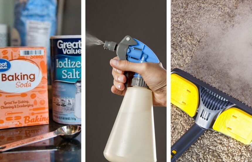 How to Get Rid of Fleas Without Losing Your Mind