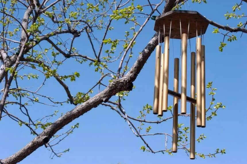 How to Get Rid of Ground Squirrels Fast and Forever!