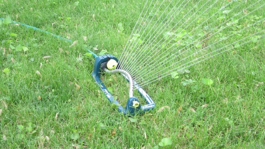 How to Get Rid of Ground Squirrels Fast and Forever!