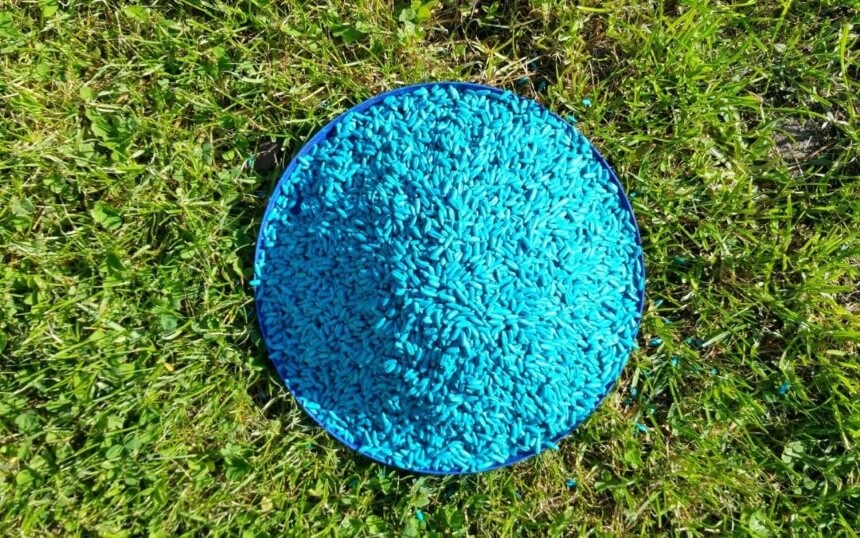 How to Get Rid of Ground Squirrels Fast and Forever!