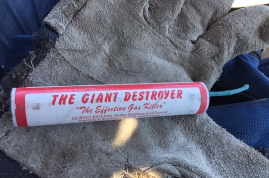 How to Get Rid of Ground Squirrels Fast and Forever!