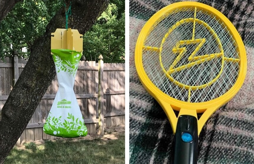 How to Get Rid of June Bugs Quickly