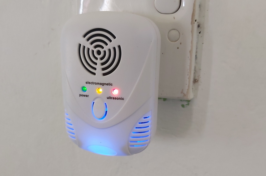 How to Get Rid of Mice - Effective Methods and Permanent Solutions