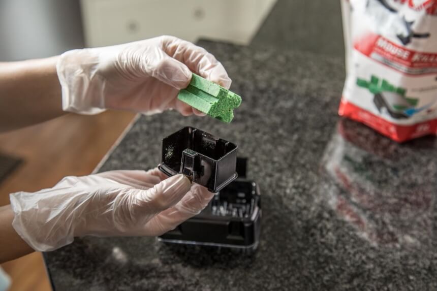 How to Get Rid of Mice - Effective Methods and Permanent Solutions