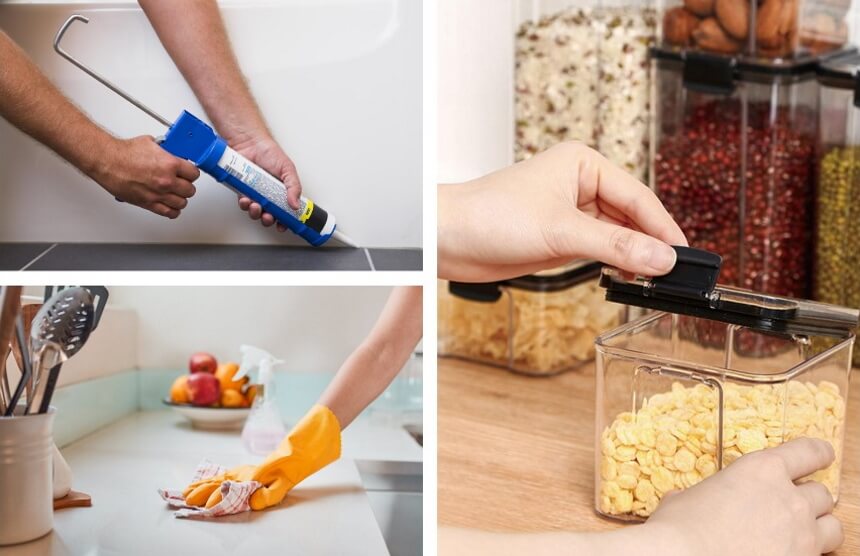 How to Get Rid of Mice - Effective Methods and Permanent Solutions