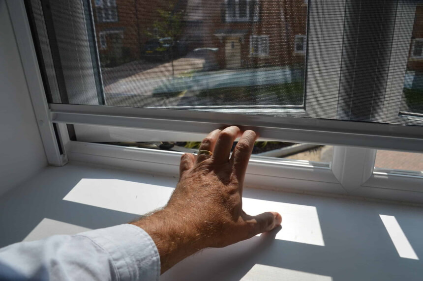 How to Get Rid of Moths: Natural Remedies and Treatments