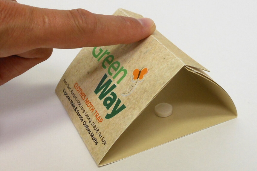 How to Get Rid of Moths: Natural Remedies and Treatments